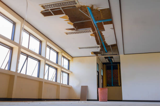 Best Water damage contractors near me  in Hebron, OH