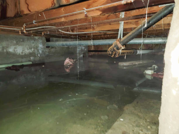 Best Basement water damage restoration  in Hebron, OH