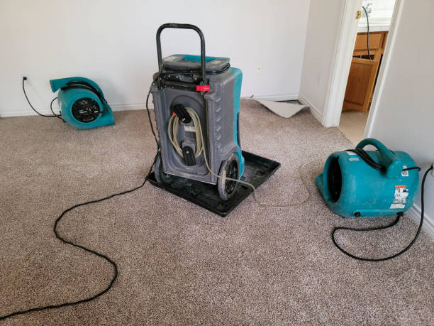 Best Water damage mitigation services  in Hebron, OH