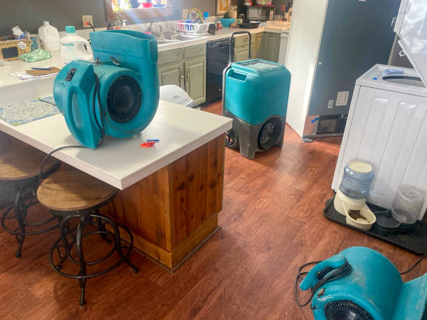 Best Sewage cleanup and water damage restoration  in Hebron, OH