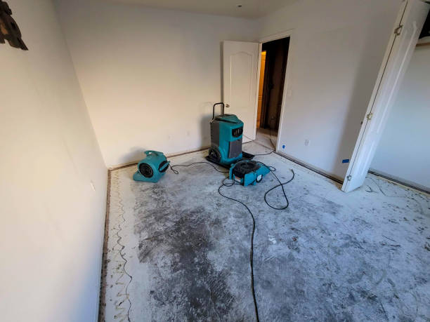 Best Fire Damage Restoration  in Hebron, OH