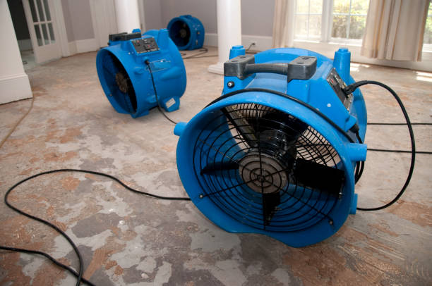Best Ceiling water damage repair  in Hebron, OH
