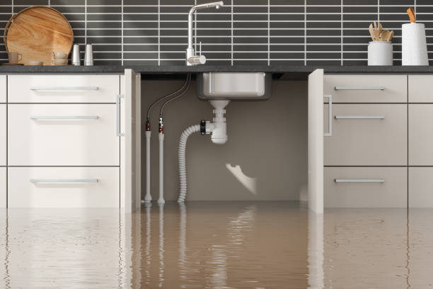 Best Water damage cleanup near me  in Hebron, OH