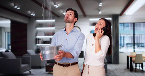 Best Flood damage cleanup  in Hebron, OH